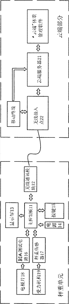 Electronic scale system with wireless transmission function