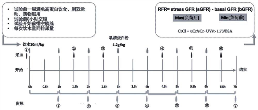 Method and system for evaluating kidney reserve function and application thereof