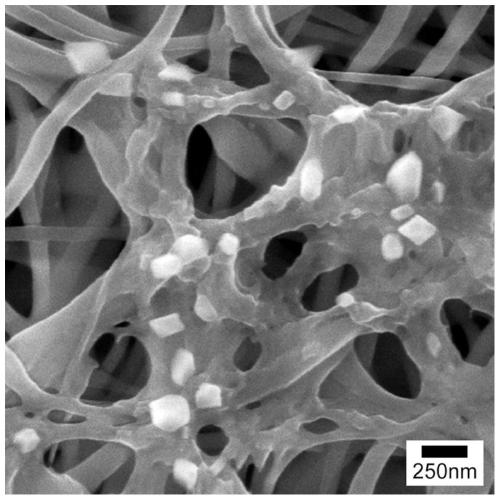 A kind of anti-tumor implant film and preparation method thereof