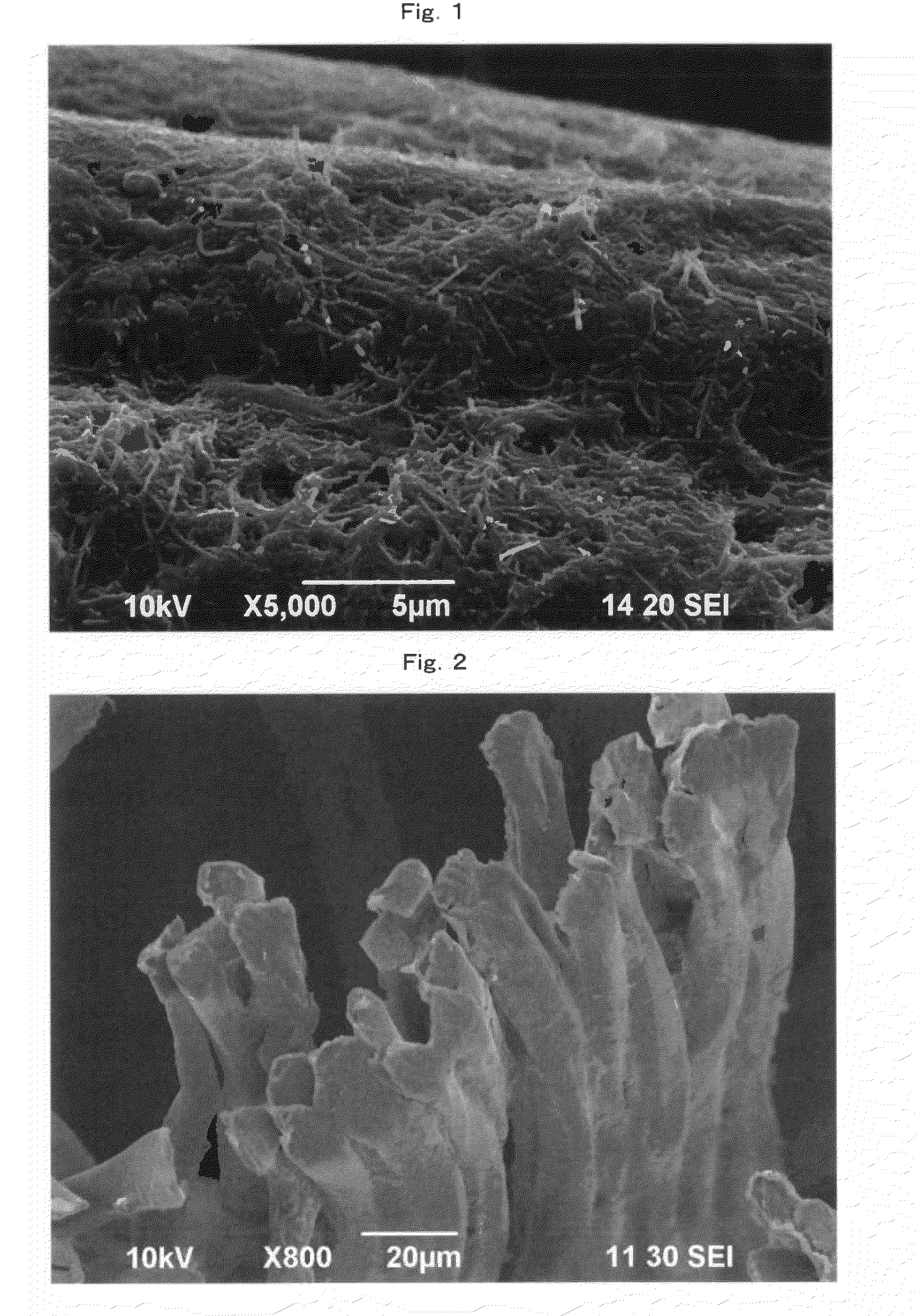 Electro-conductive fibers with carbon nanotubes adhered thereto, electro-conductive yarn, fibers structural object, and production processes thereof