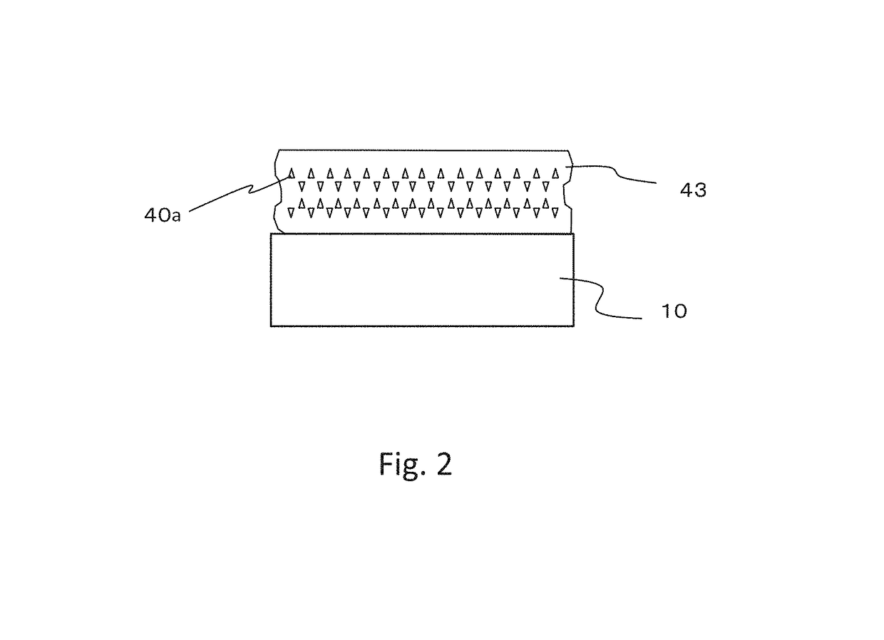 Light-transmitting substrate, display device, signal device, and illumination device