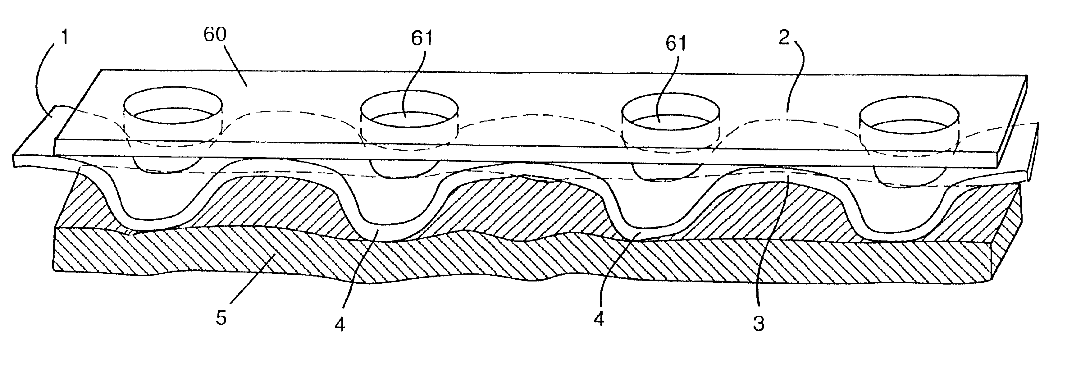 Dual-zoned absorbent webs