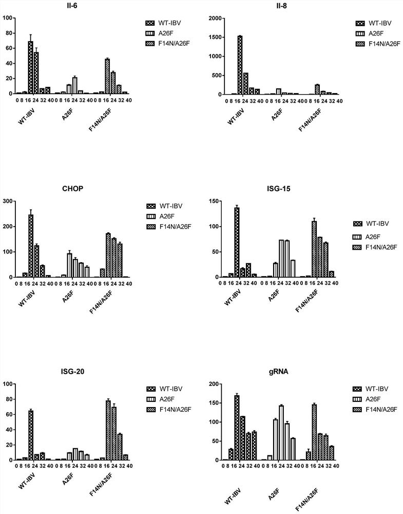 An infectious bronchitis recombinant virus lacking e protein ion channel activity and its preparation method and application