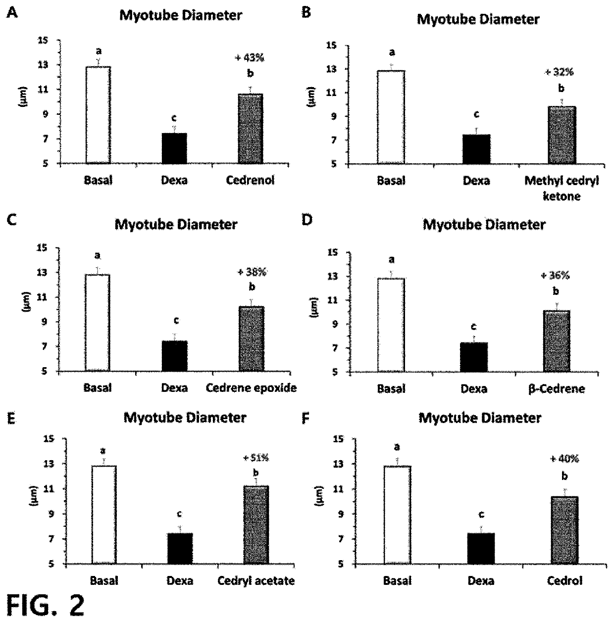 Composition containing sesquiterpene derivative as active ingredient for prevention or treatment of muscle diseases
