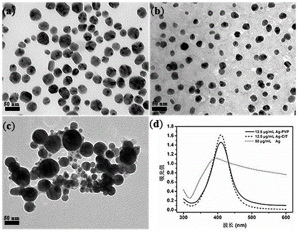 Antibacterial combination containing nano silver and kanamycin