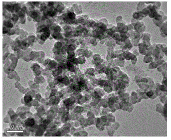 Preparing method of amino carbon quantum dot fluorescence silicon substrate imprint sensor
