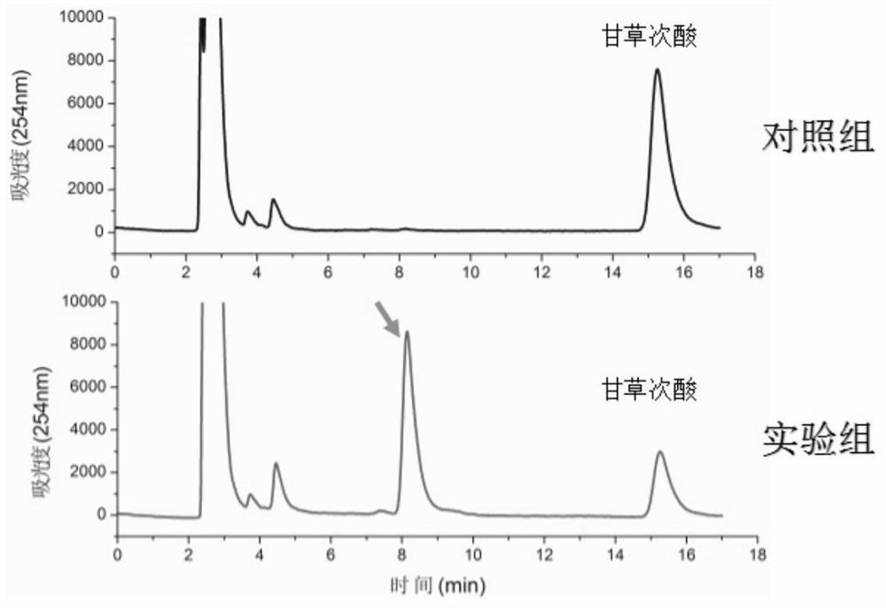 A method for enzymatically synthesizing 3-o-glucosylglycyrrhetinic acid