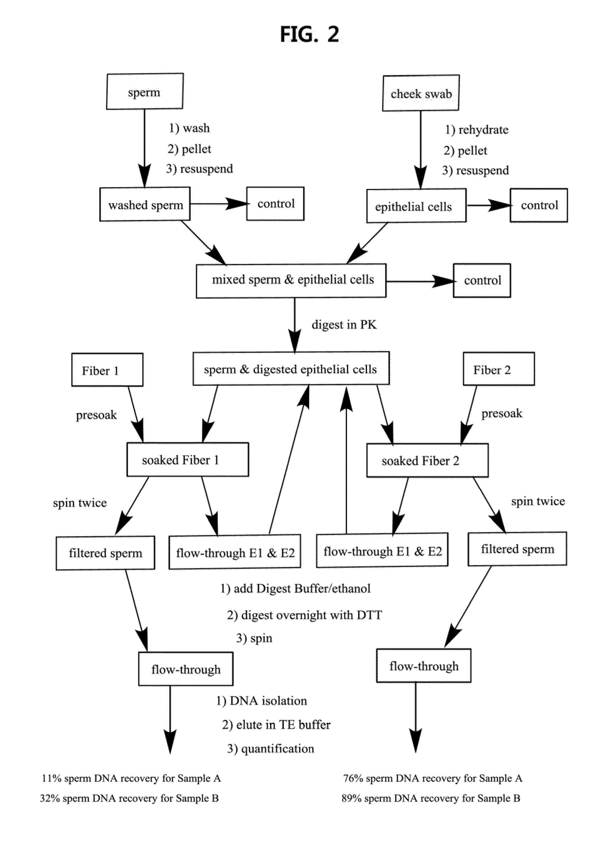 Method, apparatus and kit for human identification using polymer filter means for separation of sperm cells from biological samples that include other cell types