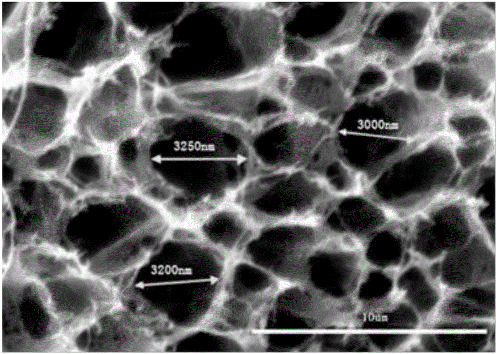 Carbon nanotube-nano-crystalline cellulose-polyvinyl alcohol composite conductive gel and preparation method and application thereof