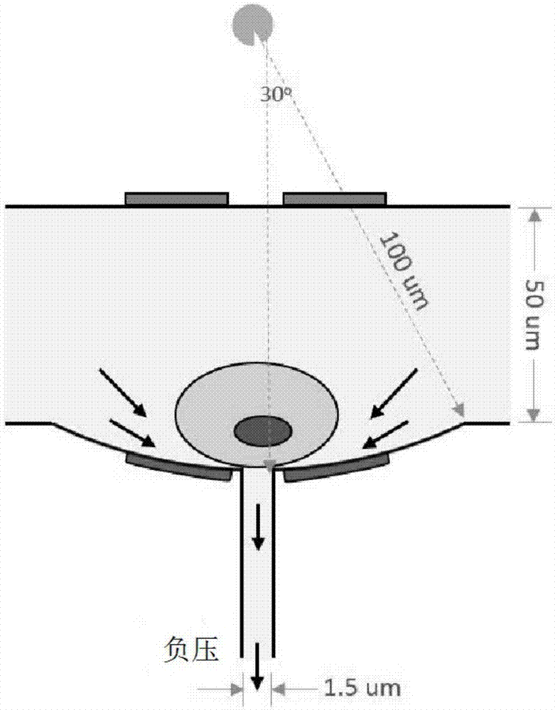 Micro-scale cell electro-transfection micro-fluidic chip, electro-transfection sorter and applications thereof