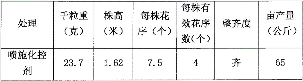 Chemical adjusting and controlling method of silybum marianum