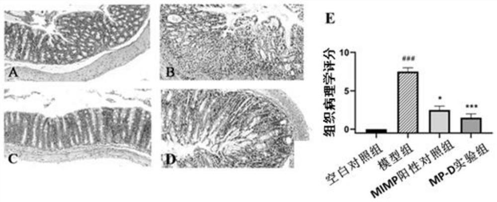 A kind of polypeptide fragment d and its application