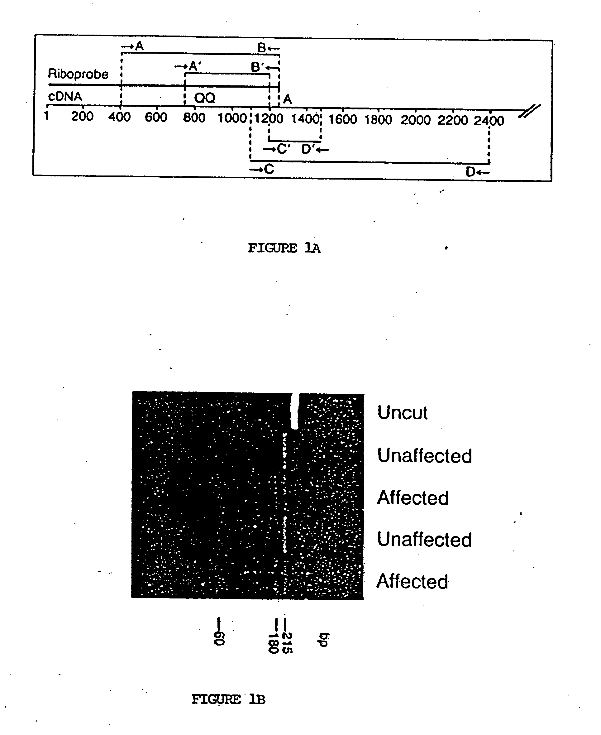 Method for detecting disease-associated mutations