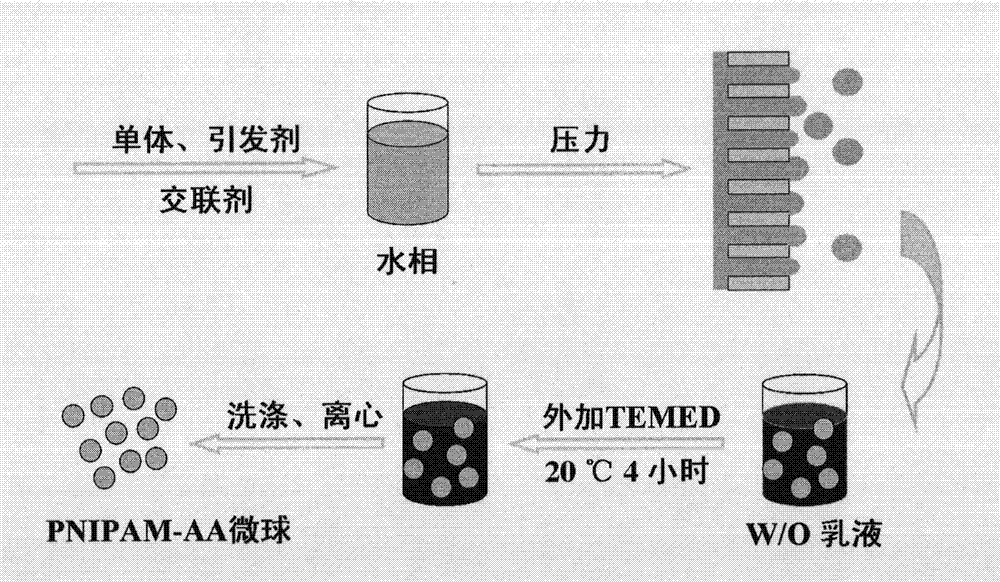 Temperature-pH dual-sensitivity gel microsphere as well as preparation method and application thereof