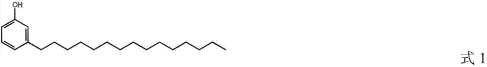 Method for preparing hexamethylbenzene by using cardanol and methanol as raw materials