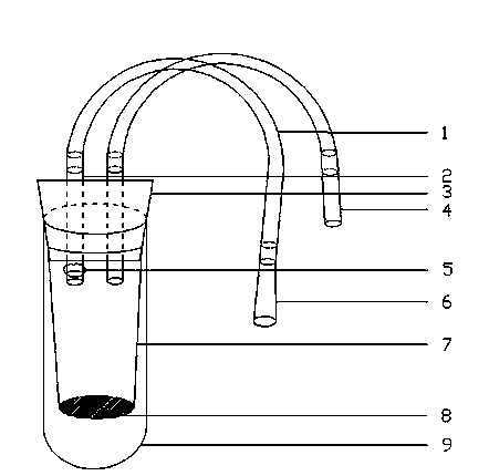 Oral suction type insect suction device