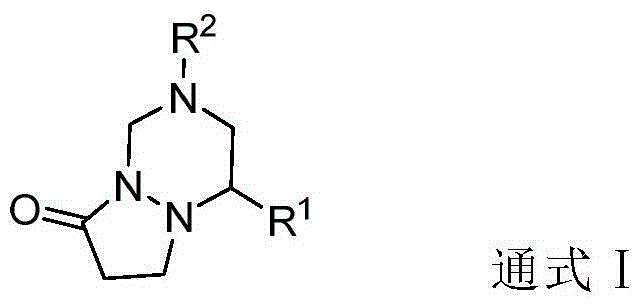 Tetralin pyrazolone triazine compound as well as preparation method and application thereof