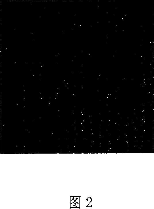 Separating method for carrier frequency electronic speckle displacement field