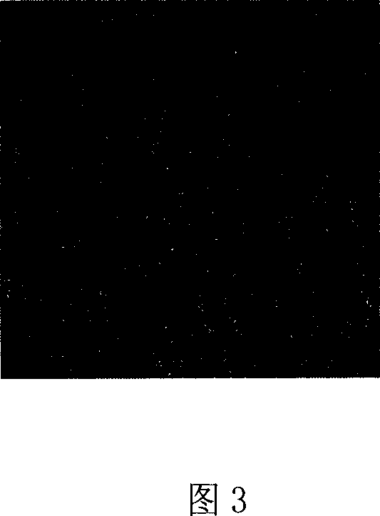 Separating method for carrier frequency electronic speckle displacement field