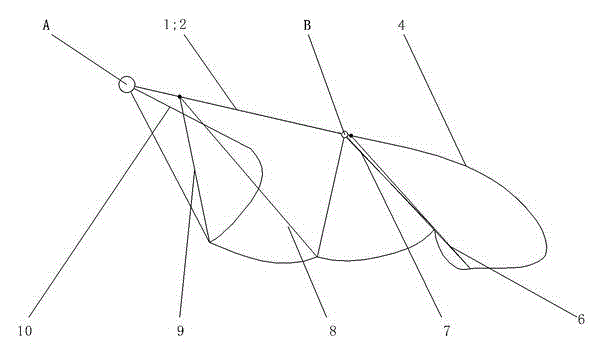 Flapping wing capable of automatically folding and unfolding for flapping wing type micro aerial vehicle