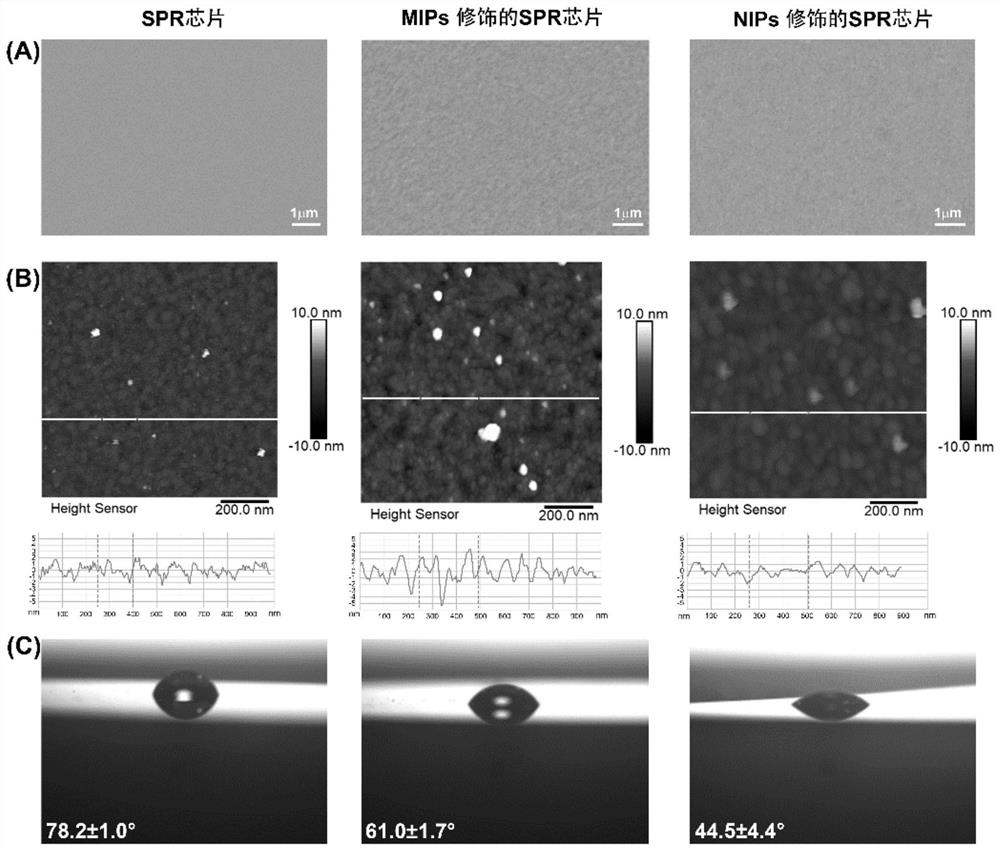 Preparation method of molecularly imprinted SPR (Surface Plasmon Resonance) sensor for detecting amphetamine drugs