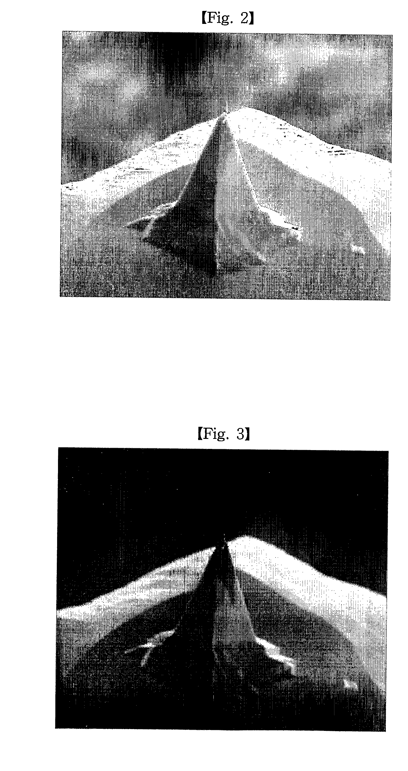 Method for fabricating spm and cd-spm nanoneedle probe using ion beam and spm and cd-spm nanoneedle probe thereby