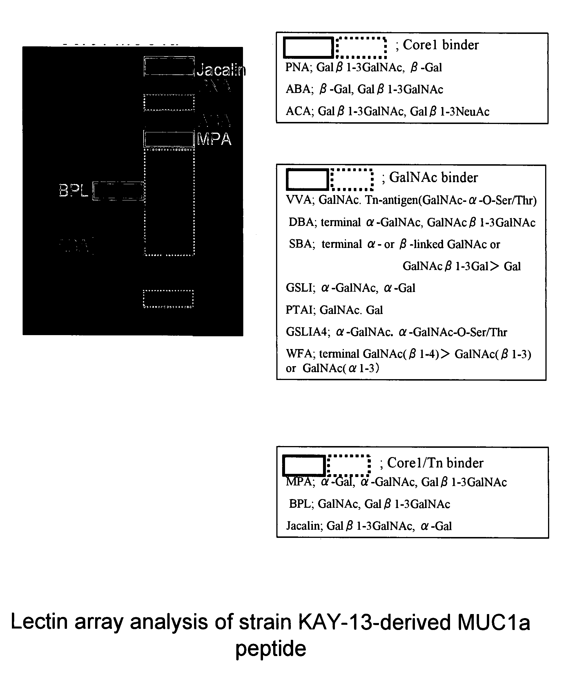 Method for producing a mucin-type glycoprotein