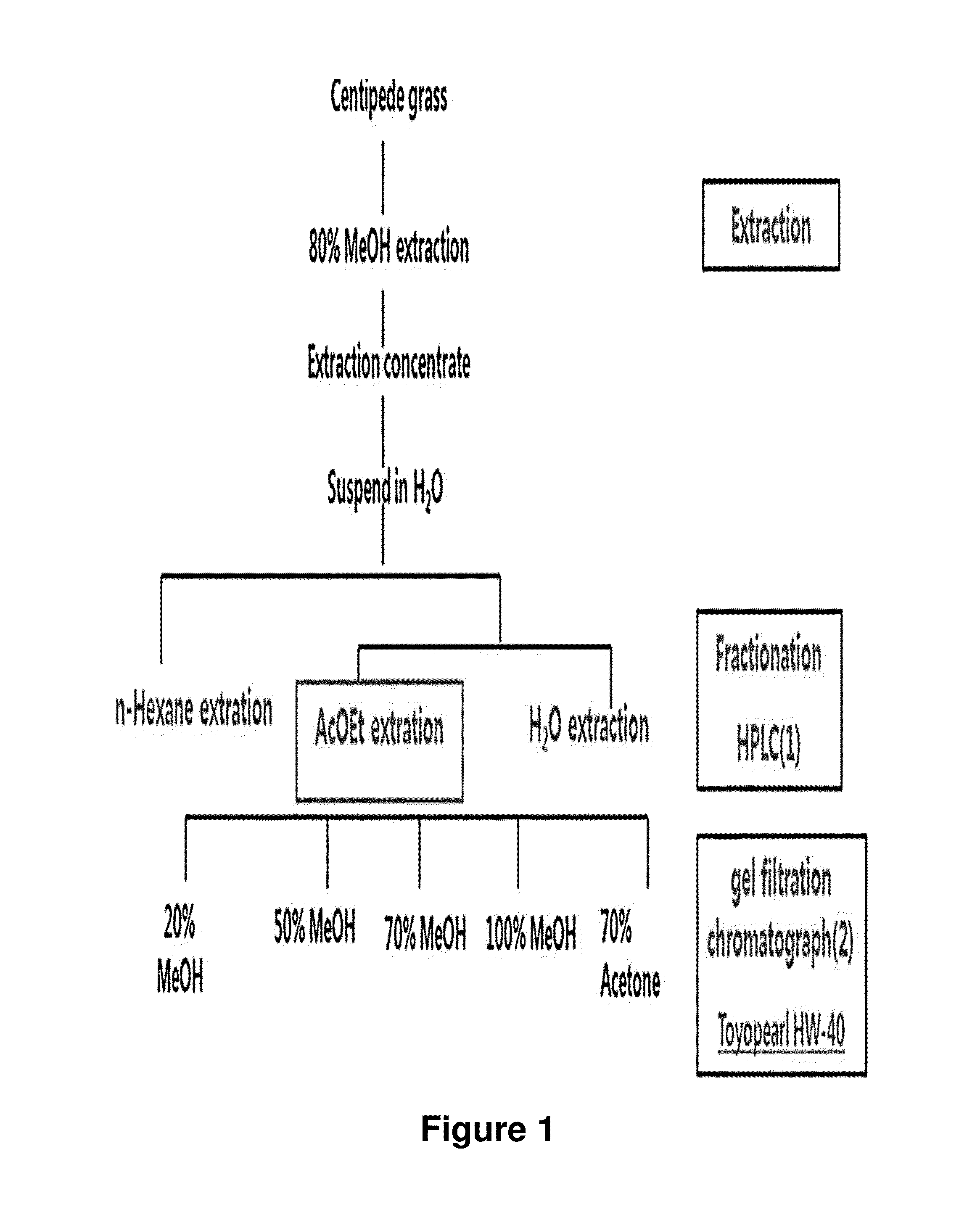 Composition Comprising Centipede Grass Extracts or Fractions Thereof as Active Ingredients
