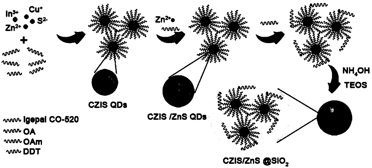 A preparation method of multi-quantum dot core-silica shell composite structure and its application in LED