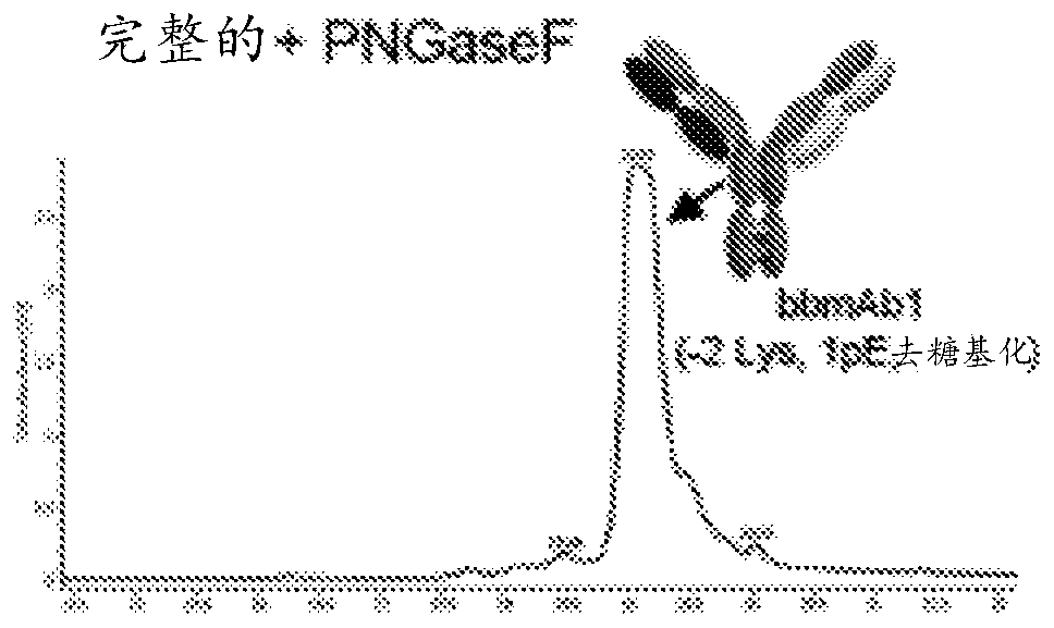 Method of manufacturing bispecific antibodies, bispecific antibodies and therapeutic use of such antibodies