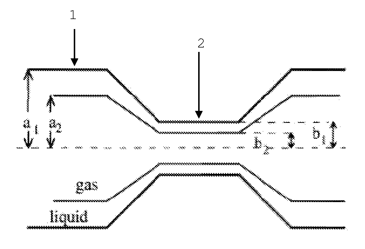 Method and apparatus for investigating a gas-liquid mixture