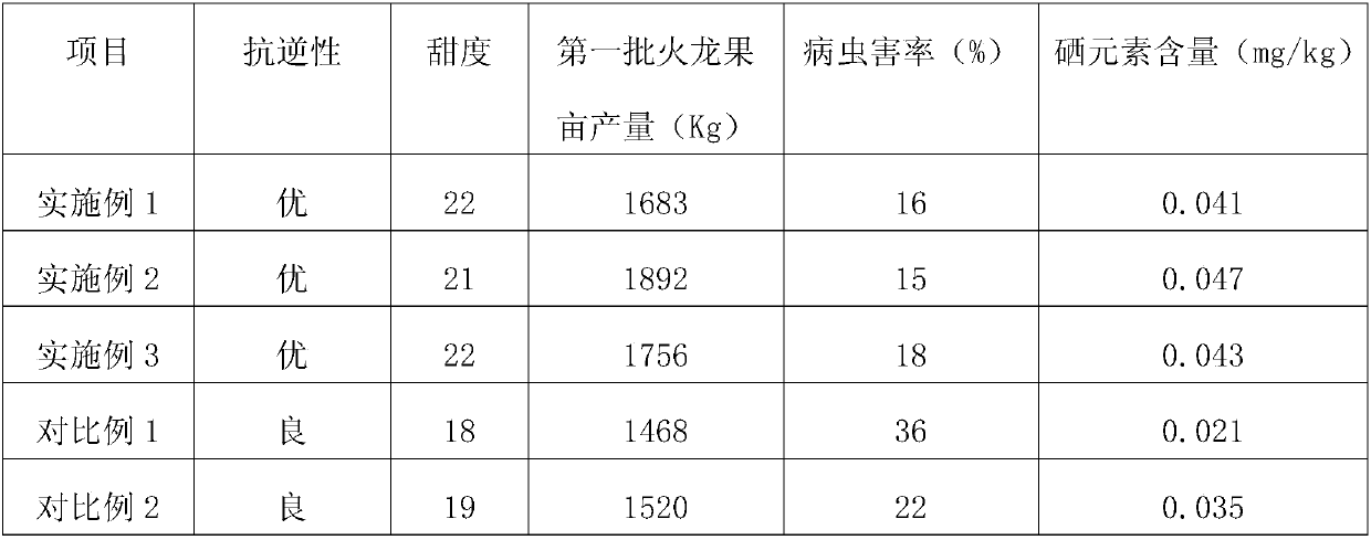 Planting method of hylocereus undatus