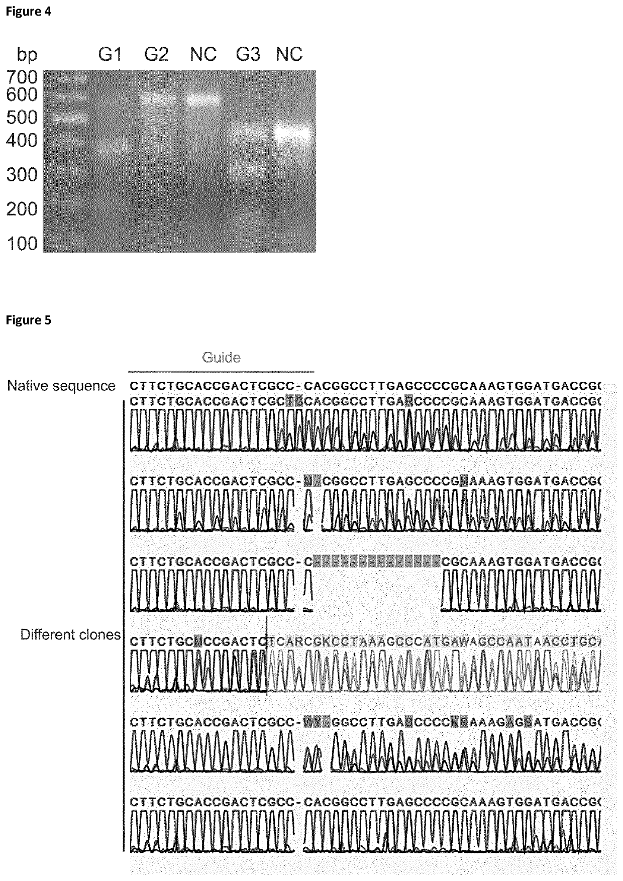 Cells producing glycoproteins having altered N- and O-glycosylation patterns and methods and use thereof