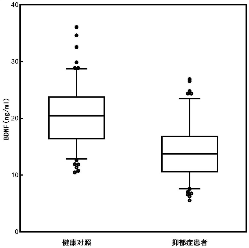 Brain-derived neurotrophic factor determination kit, application thereof and brain-derived neurotrophic factor specific antibody