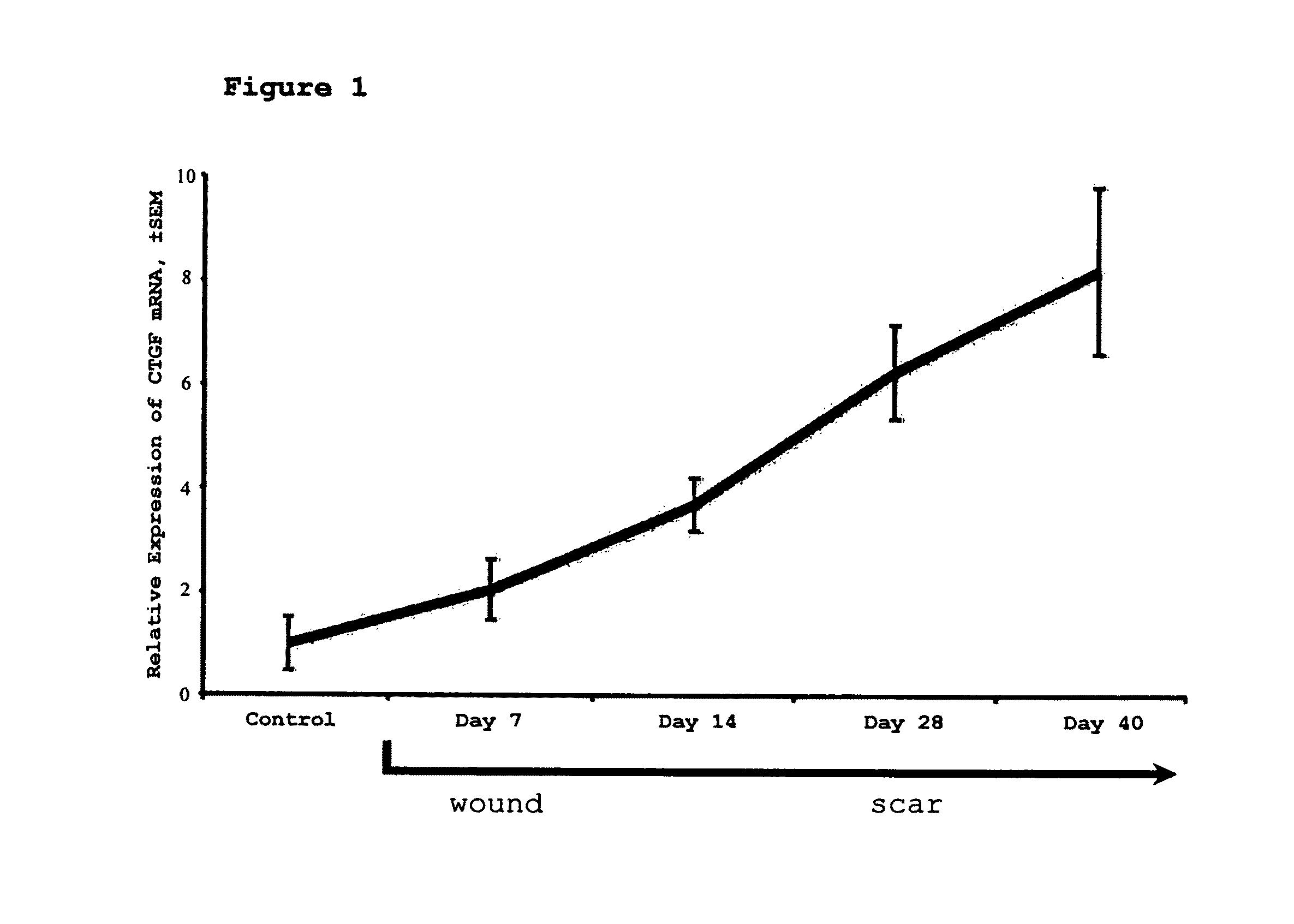 Method for reducing scarring during wound healing using antisense compounds directed to CTGF