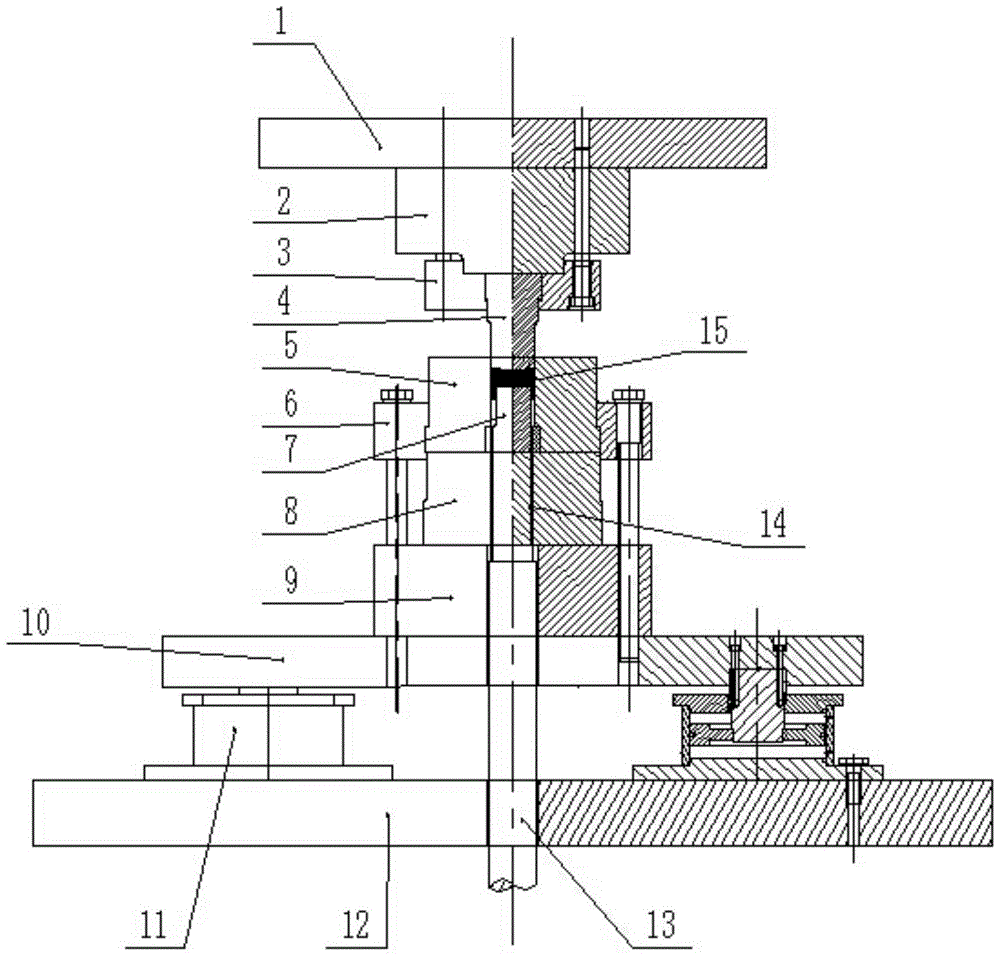 A High Frequency Fluttering Cold Extrusion Die