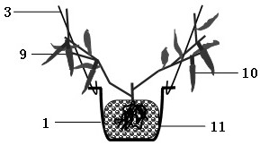 A kind of high-efficiency and saving type pepper soilless cultivation method