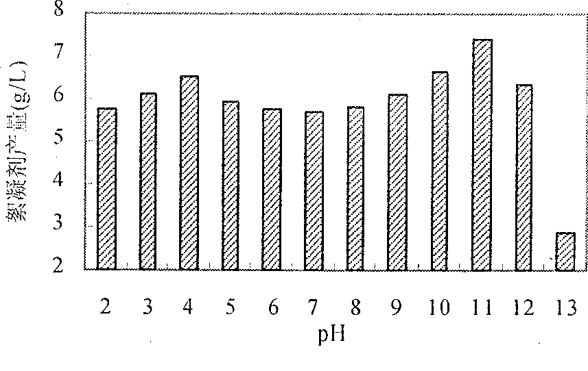 Bacteria for producing microorganism flocculant by using bean dregs and process for producing same