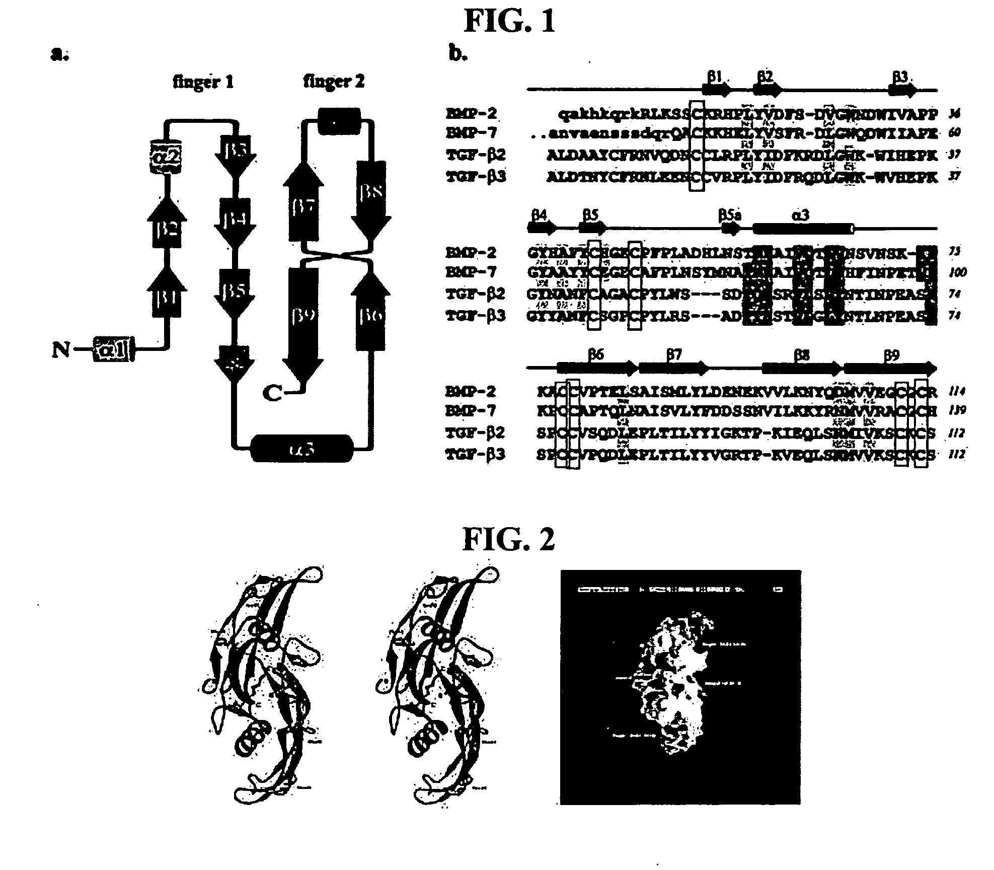 Non-activated polypeptides having a function of tissue regeneration and method for preparing the same