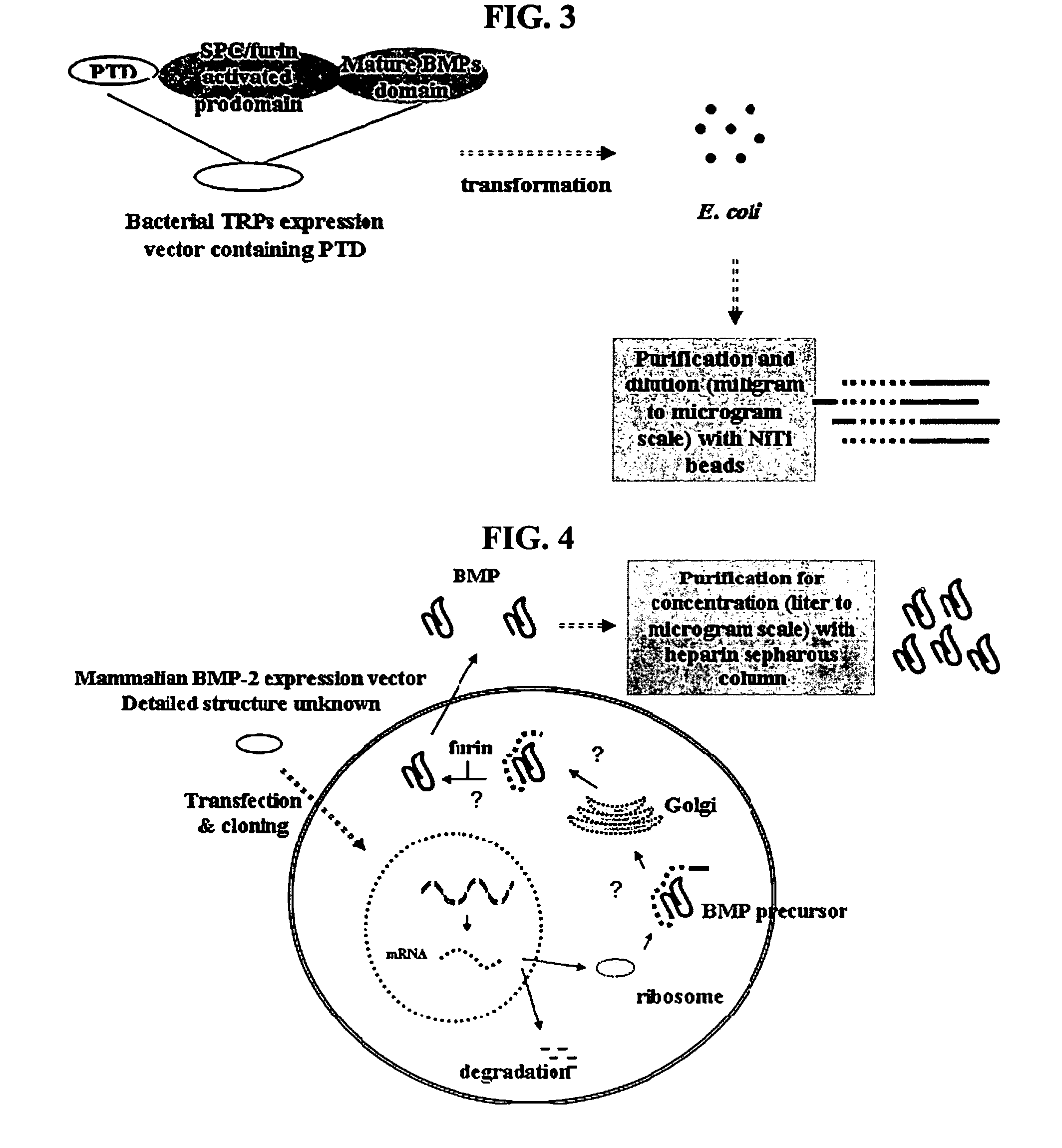 Non-activated polypeptides having a function of tissue regeneration and method for preparing the same