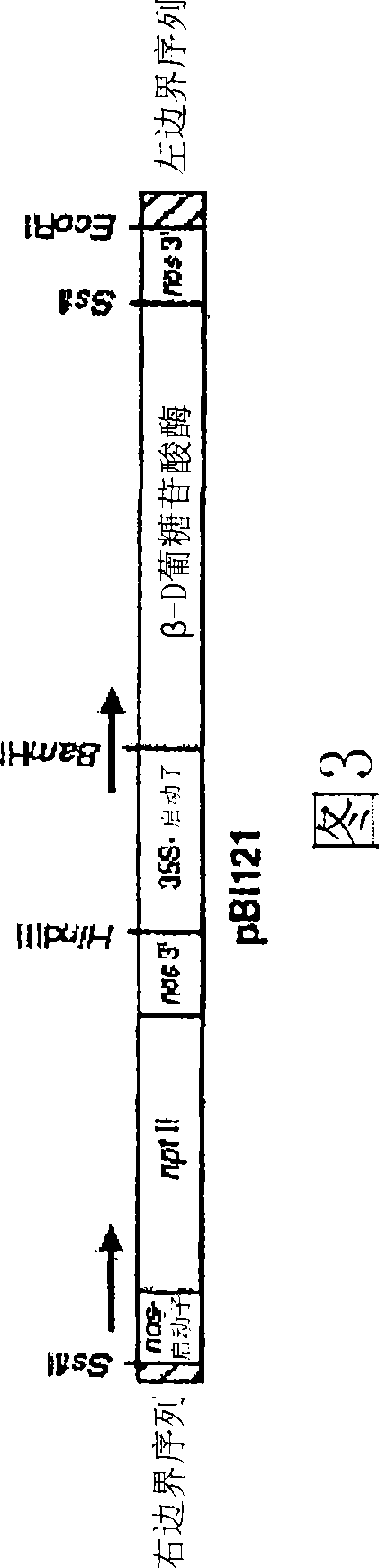 Influenza antibodies, compositions, and related methods