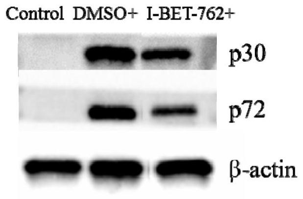 New use of compound i-bet-762 for preparing medicine for preventing or treating African swine fever