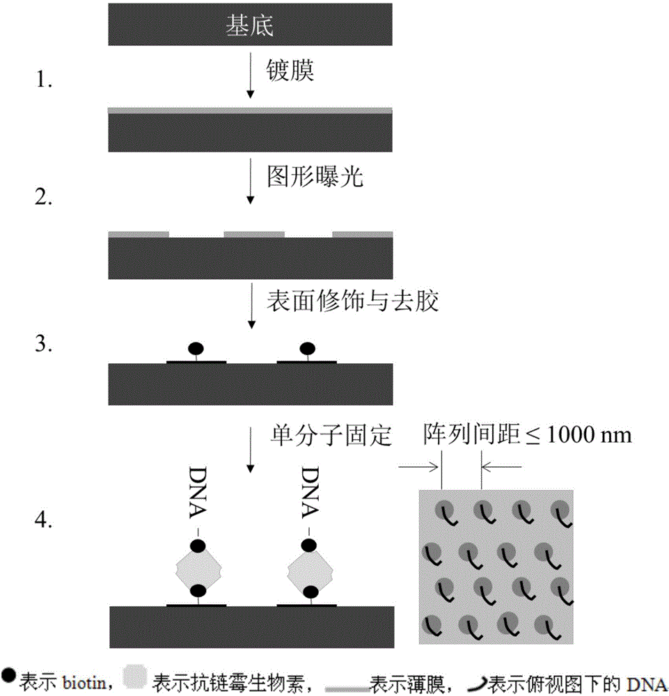 Method for preparing bio-macromolecular monomolecular chips by virtue of high-density nano-dot arrays