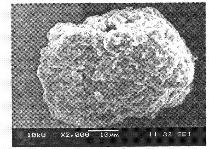 Preparation method of carboxymethylated bagasse xylan derivative