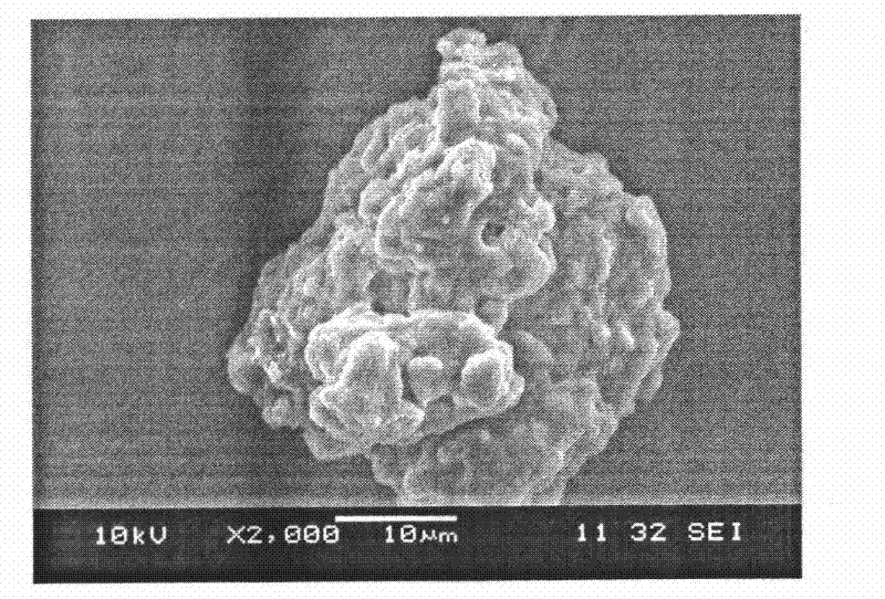 Preparation method of carboxymethylated bagasse xylan derivative