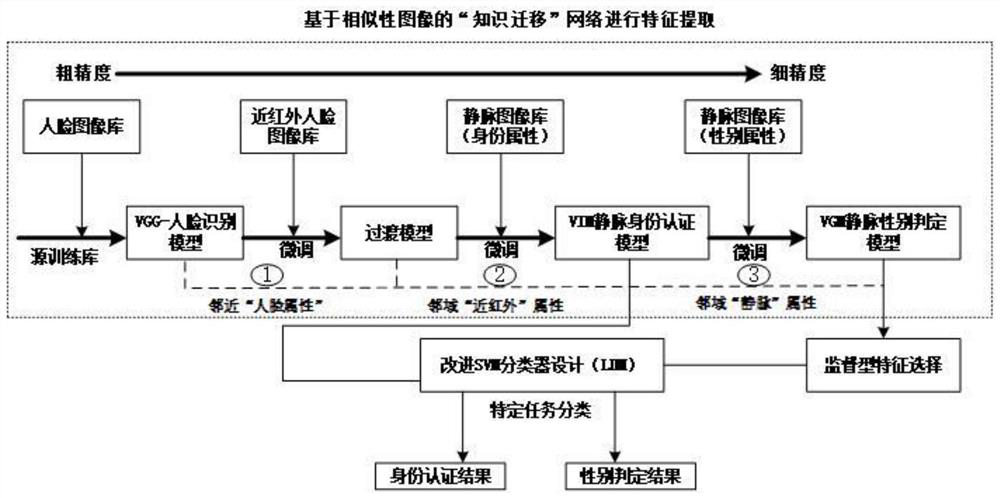 Multi-modal identity authentication method based on vein similar image knowledge migration network