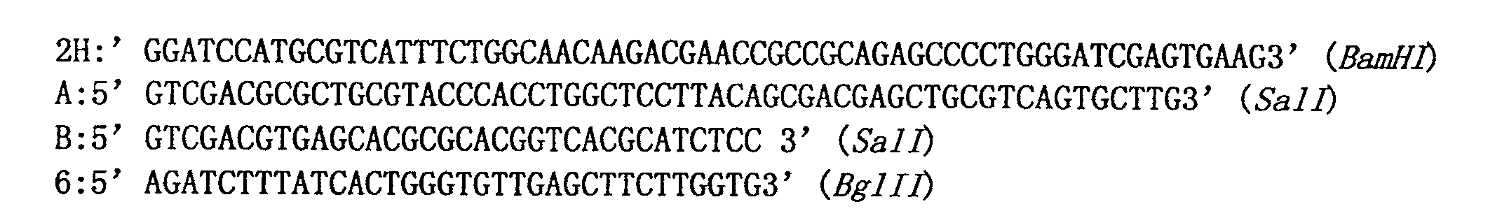 Method for preparing expressed gene for constructing apolipoprotein AIm of human