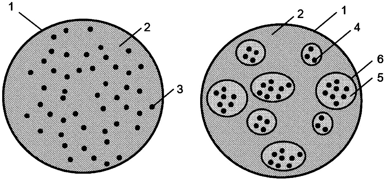 Polymer lipid sphere carrying active drugs and preparation method thereof