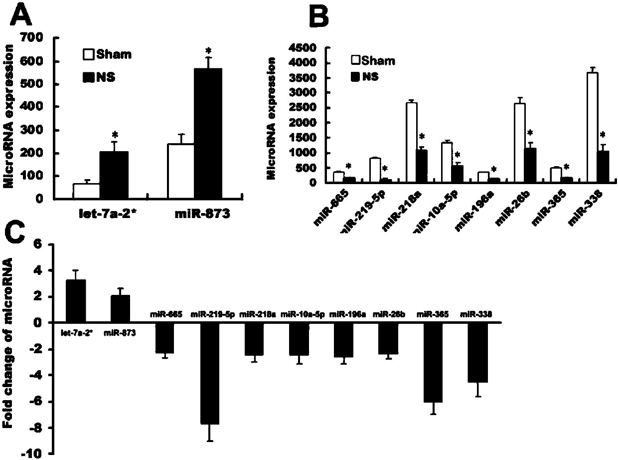 Application of an endogenous non-coding small RNA miR-873