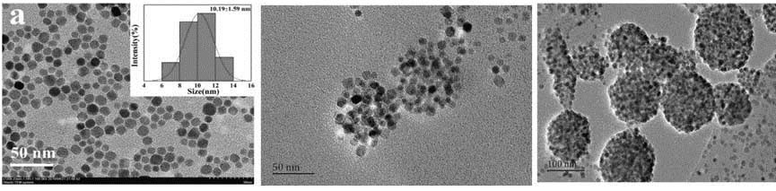 Folate receptor-mediated paclitaxel-hydroxycamptothecin superparamagnetic iron oxide nanoparticle as well as preparation method and application thereof